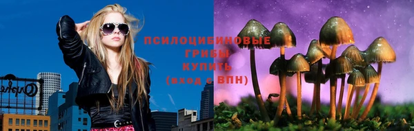 mdma Белокуриха