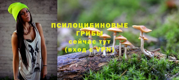 2c-b Белоозёрский