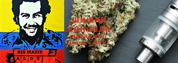 mdma Белокуриха